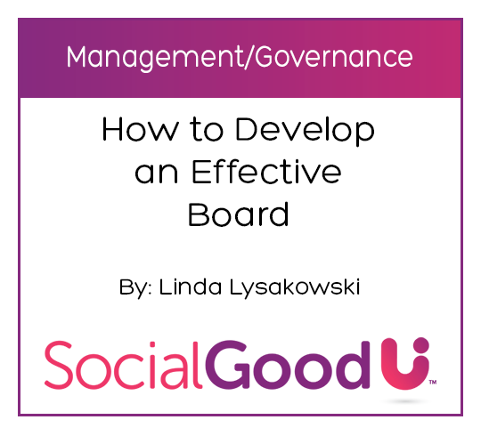 SocialGoodU -- How to Develop an Effective Board
